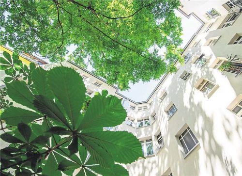 Städtische Mieter klagen oft über Vogellärm und -kot. Aber der Vermieter muss meistens nicht reagieren. Foto dpa/Scheurer