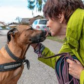Nicht nur Hundeherzen schlagen höher