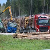 Staatsforsten öffnen Lager für Waldbesitzer
