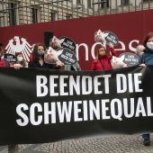 Entscheidung über Schweinehaltung vertagt
