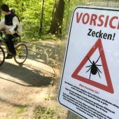 Extremes Zecken-Jahr