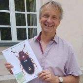 Eine krabbelnde Sensation im Schlosspark