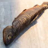 Vitello (tonnato) auf Bayerisch