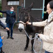 Circus Krone öffnet Gnadenhof für Besucher