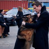 Ein tierisch gutes Team