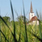 Eine ganz „Alte“ in Grafengars