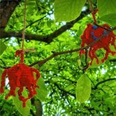 Coronaviren „befallen“ Magnolie