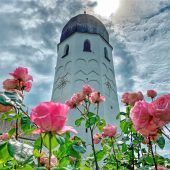 Floraler Rahmen für den Campanile
