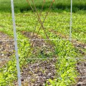 4,5 Kilometer Zaun schützen die Kiebitze in der Region