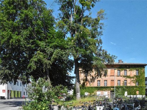 Alles neu: Der Südtiroler Platz am Bahnhof von Rosenheim wird neu gestaltet. Das Königlich-Bayerische Oberbahnamt von einst, wird demnächst eine Gaststätte sowie Büros beherbergen.Foto SChlecker