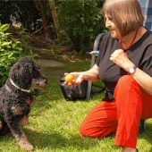 Lieber an die Leine!