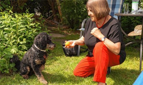 Am Vatertag wurde Brigitte Ruchlinski beim Spazierengehen von einem Pointermischling gebissen und am Oberschenkel verletzt. Zum Verbinden der Wunde muss sie immer noch, doch sie kann schon wieder mit ihrem Pudel „Pino“ im Garten spielen.