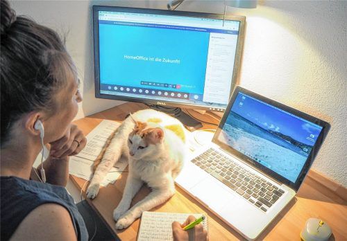 Auch OVB-Autorin Katharina Heinz war aus ihrem Homeoffice beim ROSIK-Forum zugeschaltet.Foto Heinz