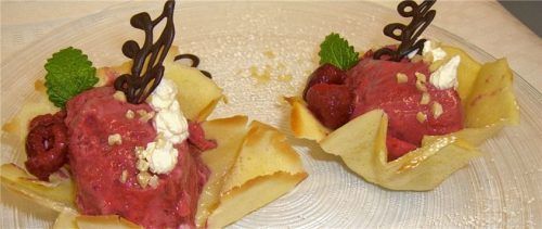 Das selbst gemachte Beeren-Joghurt-Eis lässt sich in kleinen Waffeluntersetzern schön anrichten. Foto re