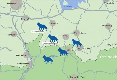 Die Grafik listet die angeblichen Wolfssichtungen in der Region auf. Klinger