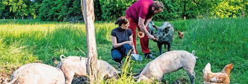 Ein schönes Leben, behutsame Schlachtung – das ist das Konzept der Tierhaltung bei Simsseer Weidefleisch.Foto simsseer-weidefleisch.de/Josefine Unterhauser