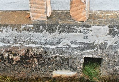 Liebelei am Wasser, am Wasser von Uta Beckert