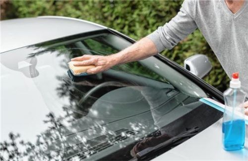 Mit einem säurefreien Insektenlöser, etwas Wasser und einem Schwamm lassen sich die Überreste kleiner Tierchen gut entfernen. Foto ProMotor
