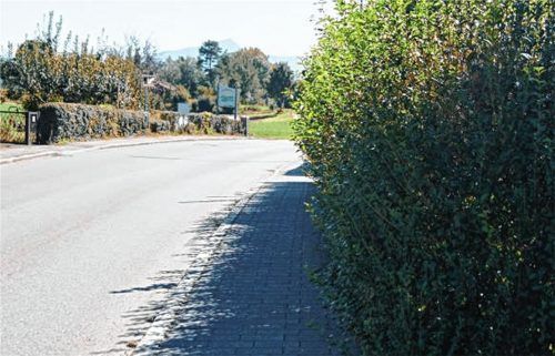 Oft wachsen Hecken und Büsche über die Grundstücksbegrenzungen und behindern somit den öffentlichen Fußgänger- und Fahrverkehr.Foto Kirchner