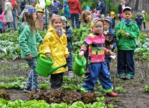 Sie sind „Ackerdemiker“: Immer mehr Mädchen und Buben erhalten auf den Feldern ihrer Kitas und Schulen praxisorientierten Einblick in den nachhaltigen Umgang mit Natur und Lebensmitteln. Foto  Ackerdemiker