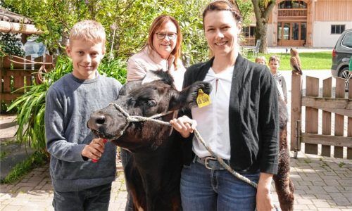 Streichelochse Elvis ist eine Attraktion bei den Kindern. Hier mit Silvia Fischer (rechts) und Sohn Max Fischer (links) und Gesche Gierlinger, Tourist-Info-Chefin von Eggstätt.Fotos elk