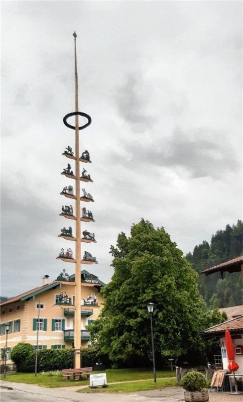Über 30 Meter ist er hoch und ziert die Sachranger Ortsmitte, der neue Maibaum.Foto rehberg
