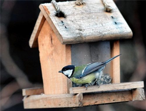 Vogelhäuschen bauen: Ein Angebot von „D‘Mangfalltaler“ beim Kinderferienprogramm. Foto dpa