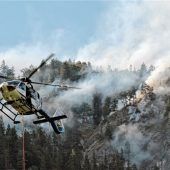 Daxenfeuer: Eine brenzlige Angelegenheit