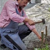 Stadtmitte blüht mit Wildblumen auf