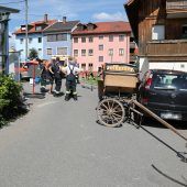 Kutscher bei Unfall schwer verletzt