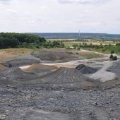 Wissenschaftler finden neue Urzeit-Muscheln