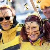 Die Bilanz der Bienen-Retter