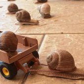 Ausfahrt mit einer Schneckenstärke