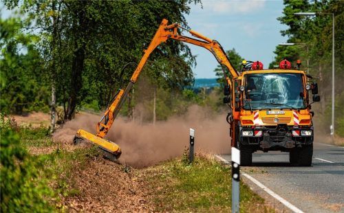 Das Bayerische Verkehrsministerium möchte die Pflege von Straßenbiotopen optimieren und investiert in die Erhaltung der Artenvielfalt. Das Staatliche Bauamt Rosenheim arbeitet bereits an einem Konzept. Foto dpa
