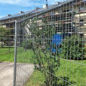 Neuer Glanz ist schon erkennbar