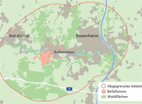 Die erweiterte Quarantänezone zur Bekämpfung des Asiatischen Moschusbockkäfers im Raum Rosenheim.Klinger