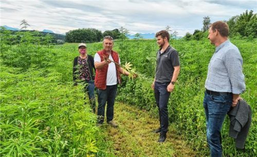 Die Fachreferentin des Fachverbandes Biogas, Susanne Jakschitz-Wild, Landwirt Hans Bürger-Schuster, der Geschäftsführer des Rosenheimer Maschinenrings, Florian Hötzelsberger, und der Ortsobmann des Bauernverbandes, Hans Mayerhofer, besichtigen ein insektenfreundliches Feld (Bild links) in Vogtareuth. Die Gemeinde hat zur Förderung der innerörtlichen Natur eine bunte Blühfläche gegenüber dem Rathaus angelegt. Fotos Rieger