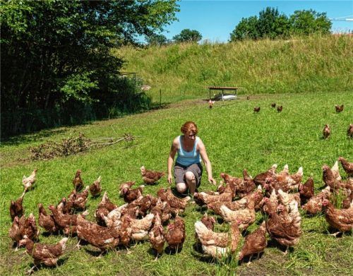 Die Kunden schätzen es, dass sie bei den Hofläden wie hier bei Julia Redl aus Kolbermoor auch sehen können, wie die Tiere gehalten werden. Freilandhaltung sorgt für ein glückliches Hühnerleben.Fotos Thomae
