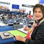 EU-Steuern richtiger Weg