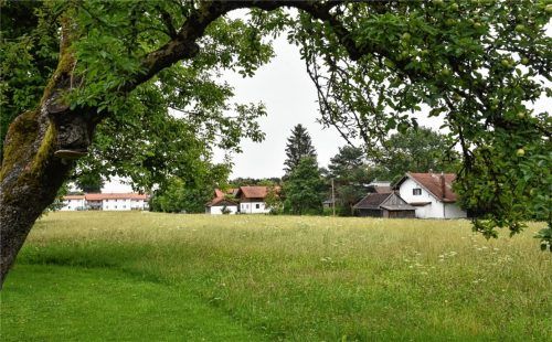 Einseitige Bebauung, niedrige Häuser – hier sah der Gemeinderat die Möglichkeit, nachzuverdichten. Dort, wo die Häuser ohnehin bis sieben Meter Höhe haben, lehnte die Mehrheit eine Bebauungsplanänderung ab. Foto Schlecker