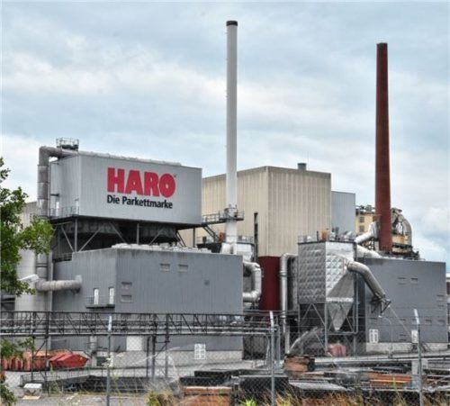 Hamberger Flooring ist nach eigenen Angaben Parkett-Marktführer in Deutschland. Veränderte Schnitte und andere Holzvorlieben ließen die Eigenversorgung durch das Sägewerk auf zehn Prozent sinken. Foto Schlecker