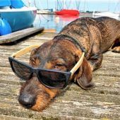 Hundstage: Wo bleibt die Sommerhitze?