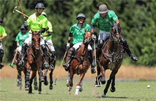 Im Finale gewann Traditionswirtshaus Kraimoos (grüne Hemden) gegen Cosmo Polo. Foto weitz
