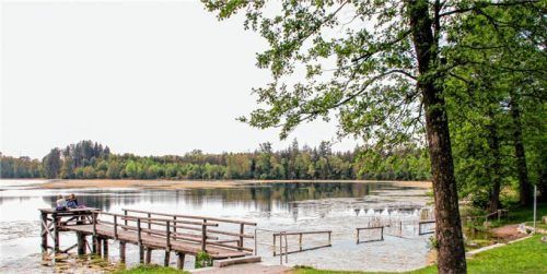 Im Tinninger See breiten sich immer wieder Algen aus. Mähen hilft nur kurzfristig, Quarzmehl könnte den Algenbewuchs dauerhaft beseitigen. Foto REisner