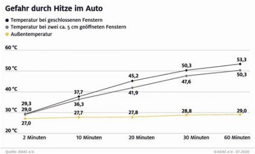 Lebensgefährlich für Kinder oder Tiere: Hitze im Auto.