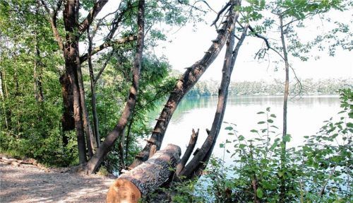 Mit Schwung ins Nasse: links die Unglücksstelle am Hochstraßer See, rechts ein Seil am Reischenharter See. Fotos Ru, jre