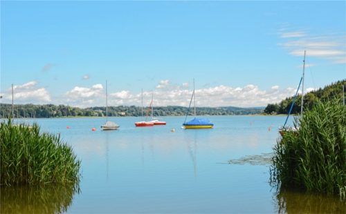 Naherholungsgebiet, Lebensraum und Erwerbsquelle – der mäßige Zustand des Simssees sollte alle angehen, findet das neue Aktionsbündnis „Sauberer Simssee“. Foto Geyer