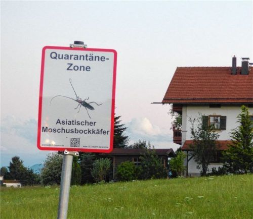 Neu: die Beschilderung Quarantänezone Asiatischer Moschusbockkäfer, die nun rund um Rosenheim (hier auf Höhe Haidbichl) zu finden ist.