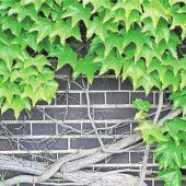 Vorsicht bei Wein & Co.