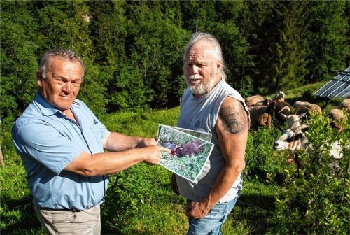 Schon wieder ein Wolf? Züchter Willi Gstatter (rechts) aus dem Reit im Winkler Ortsteil Ötzleiten beklagt den Verlust von neun Schafen durch Wolfsrisse. Der zuständige Stimmkreisabgeordnete Klaus Steiner informierte sich über die Situation.Foto Effner
